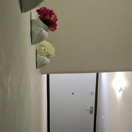 Apartment Wanderlust Sava